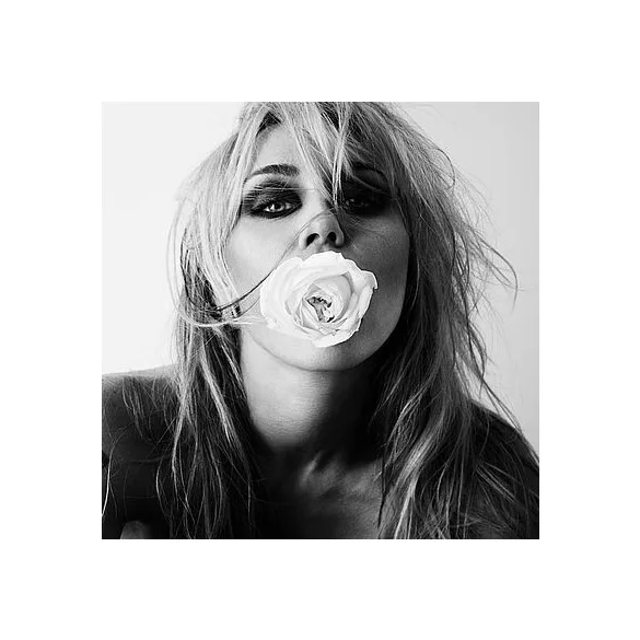 MILEY CYRUS - Bass Persuades CD