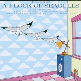 A Flock Of The Seagulls