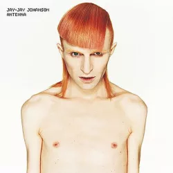   JAY-JAY JOHANSON - Antenna / limitált színes vinyl bakelit / 2xLP