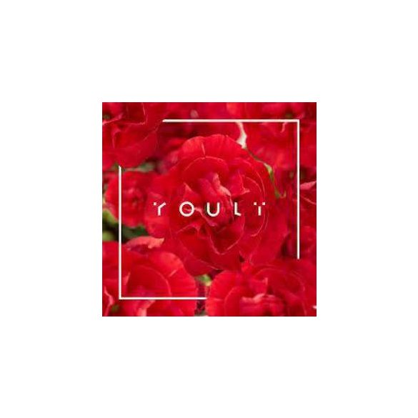 YOULI - Youli CD