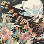 SHINS - Heartworms / vinyl bakelit / LP