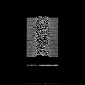 Joy Division