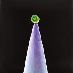 PETER GABRIEL - New Blood CD