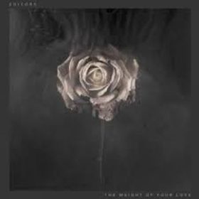 Editors