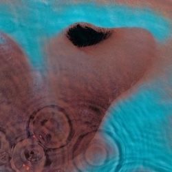 PINK FLOYD - Meddle CD