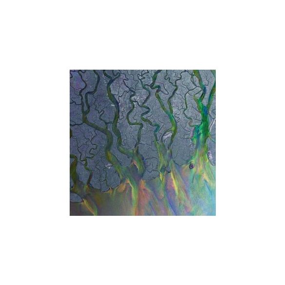 ALT-J - An Awesome Wave CD