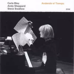   CARLA BLEY, ANDY SHEPPARD, STEVE SWALLOW  - Andando El Tiempo / vinyl bakelit / LP