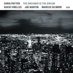 CHRIS POTTER  - Dreamer Is The Dreamer / vinyl bakelit / LP