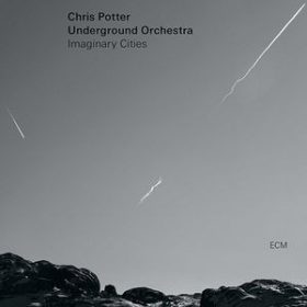 Chris Potter