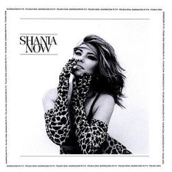 SHANIA TWAIN - Now CD