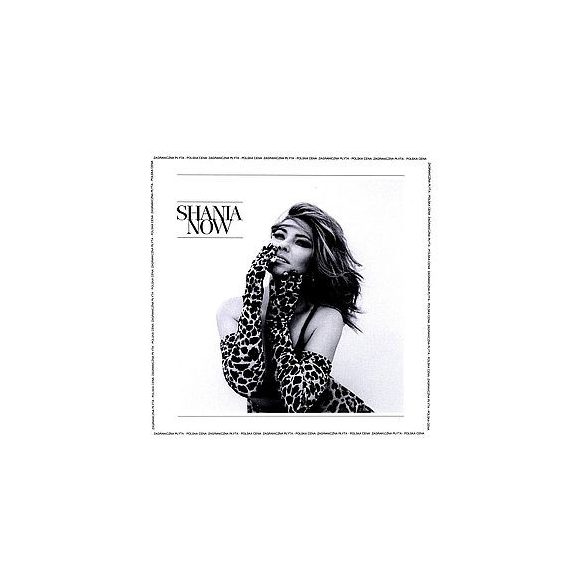 SHANIA TWAIN - Now CD
