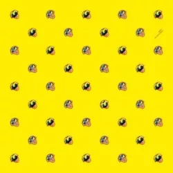 PET SHOP BOYS - Very / vinyl bakelit / LP