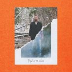 JUSTIN TIMBERLAKE - Man On The Woods / vinyl bakelit / 2xLP
