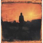 STEVEN WILSON - Grace For Drowing / vinyl bakelit / 2xLP