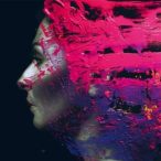 STEVEN WILSON - Hand Cannot Erase / vinyl bakelit / 2xLP