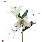 CULT - Hidden City / vinyl bakelit / 2xLP