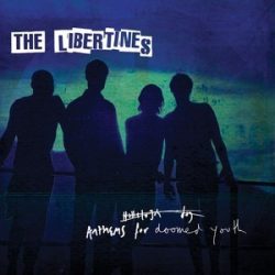 LIBERTINES - Anthems For Doomed Youth CD