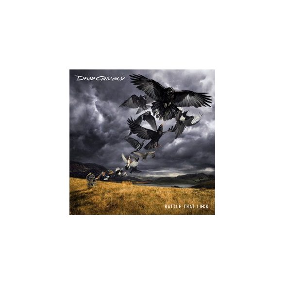 DAVID GILMOUR - Rattle That Lock CD