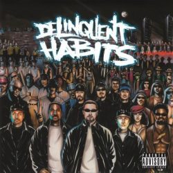   DELINQUENT HABITS - The Delinquent Habits / vinyl bakelit / 2xLP