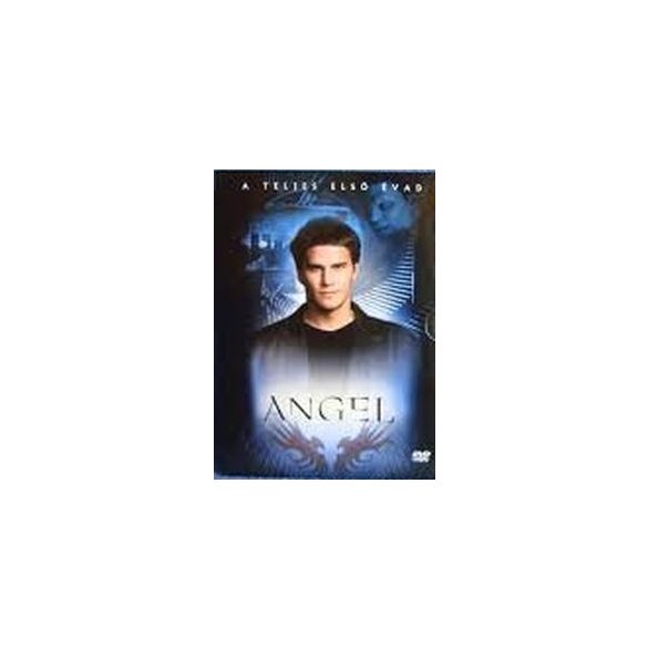 FILM - Angel 1.évad /6dvd/ DVD