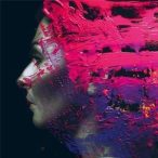 STEVEN WILSON - Hand Cannot Erase / limited cd+dvd / CD