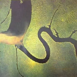 DEAD CAN DANCE - Serpent's Egg / vinyl bakelit / LP