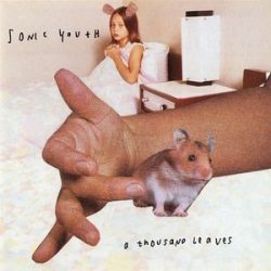 SONIC YOUTH - A Thousand Leaves CD