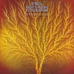 VAN DER GRAAF GENERATOR - Still Life CD