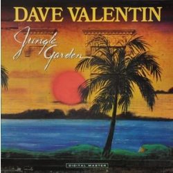 DAVE VALENTIN - Jungle Garden / vinyl bakelit cut out / LP