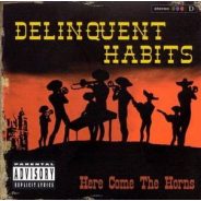 Delinquent Habits