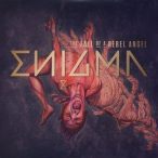 ENIGMA - Fall Of Rebel Angel / vinyl bakelit / LP