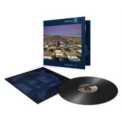   PINK FLOYD - A Momentary Lapse Of Reason / vinyl bakelit / LP