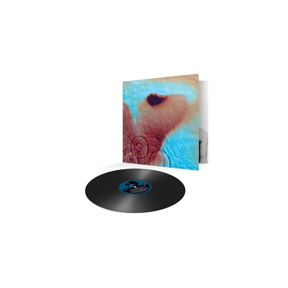 PINK FLOYD - Meddle / vinyl bakelit / LP