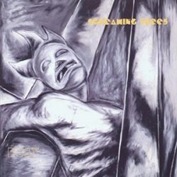 SCREAMING TREES - Dust CD