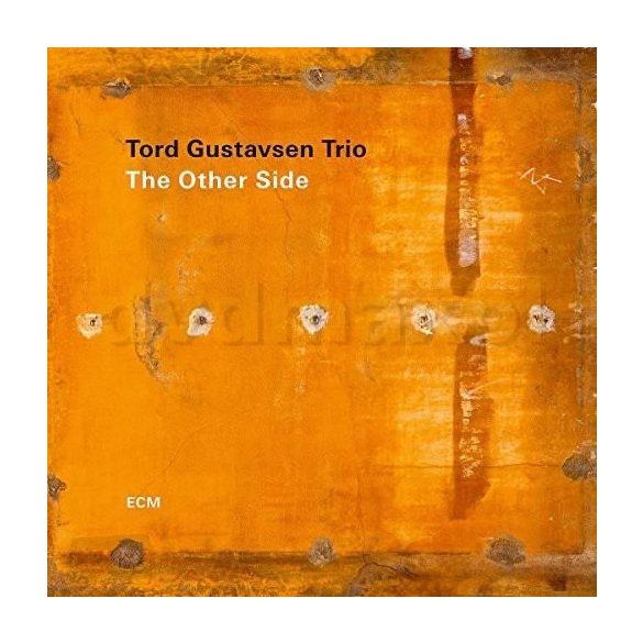 TORD GUSTAVSEN TRIO - Other Side / vinyl bakelit / LP