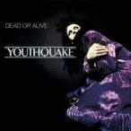 DEAD OR ALIVE - Youthquake /  vinyl bakelit / LP