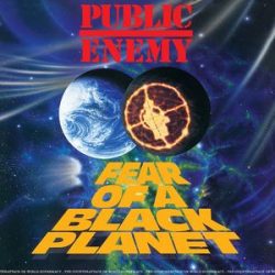 PUBLIC ENEMY - Fear Of A  Black Planet CD