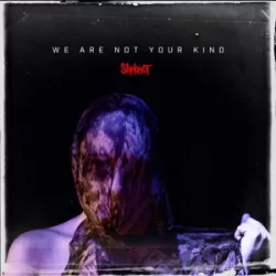 SLIPKNOT - We Are Not Your Kind / vinyl bakelit / 2xLP