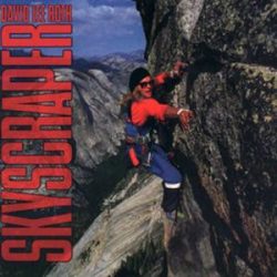 DAVID LEE ROTH - Skyscraper / vinyl bakelit / LP