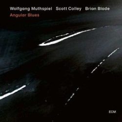 WOLFGANG MUTHSPIEL - Angular Blues  / vinyl bakelit / LP