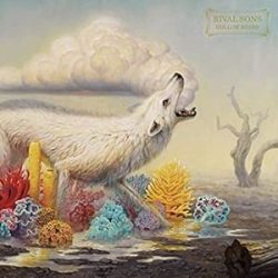 RIVAL SONS - Hollow Bones / vinyl bakelit / LP
