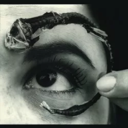 MR BUNGLE - Disco Volante / vinyl bakelit / LP