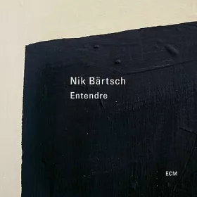 Nik Bartsch's