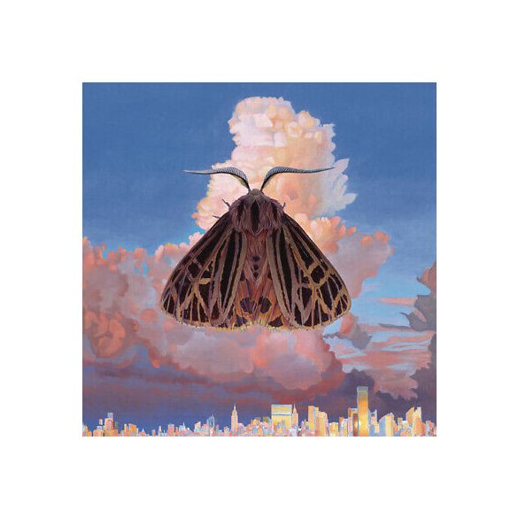 CHAIRLIFT - Moth CD