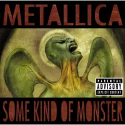 METALLICA - Some Kind Of Monster CD