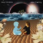 WALK THE MOON - What If Nothing CD