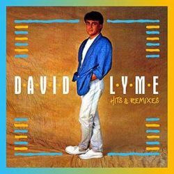 DAVID LYME - Hits & Remixes / 2cd / CD