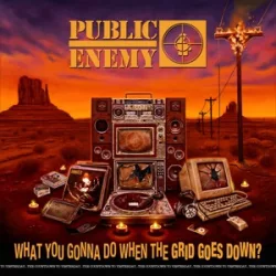   PUBLIC ENEMY - What You Gonna Do When The Grid Goes Down? / vinyl bakelit / LP