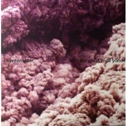   TRENTEMOLLER - Into the Great Wide Yonder / vinyl bakelit / 2xLP