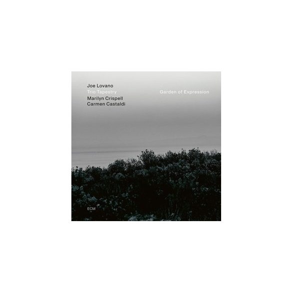 JOE LOVANO - Garden of Expression / vinyl bakelit / LP
